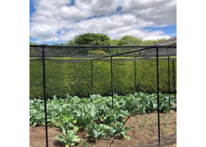 Gardening Naturally: Save on Safe Pest Control & Garden Supplies